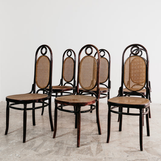 Sautto & Liberale Set Da Pranzo 6 Sedie Vintage Anni 50 Design